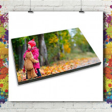 Panel Mual Panel Mual