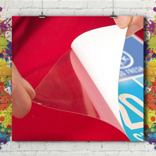Carte Visite 8.2x12.8 - Gecko Carte Visite 8.2x12.8 - Gecko