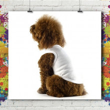 Débardeur Chot & Chaton