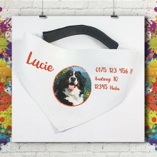 Bandana Pour Chien Bandana Pour Chien