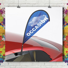 Beach Flag Car Beach Flag Car